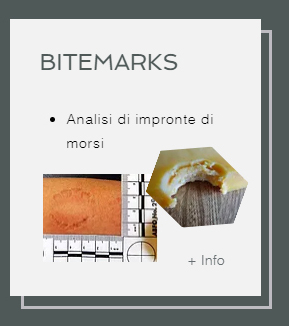 Bitemarks